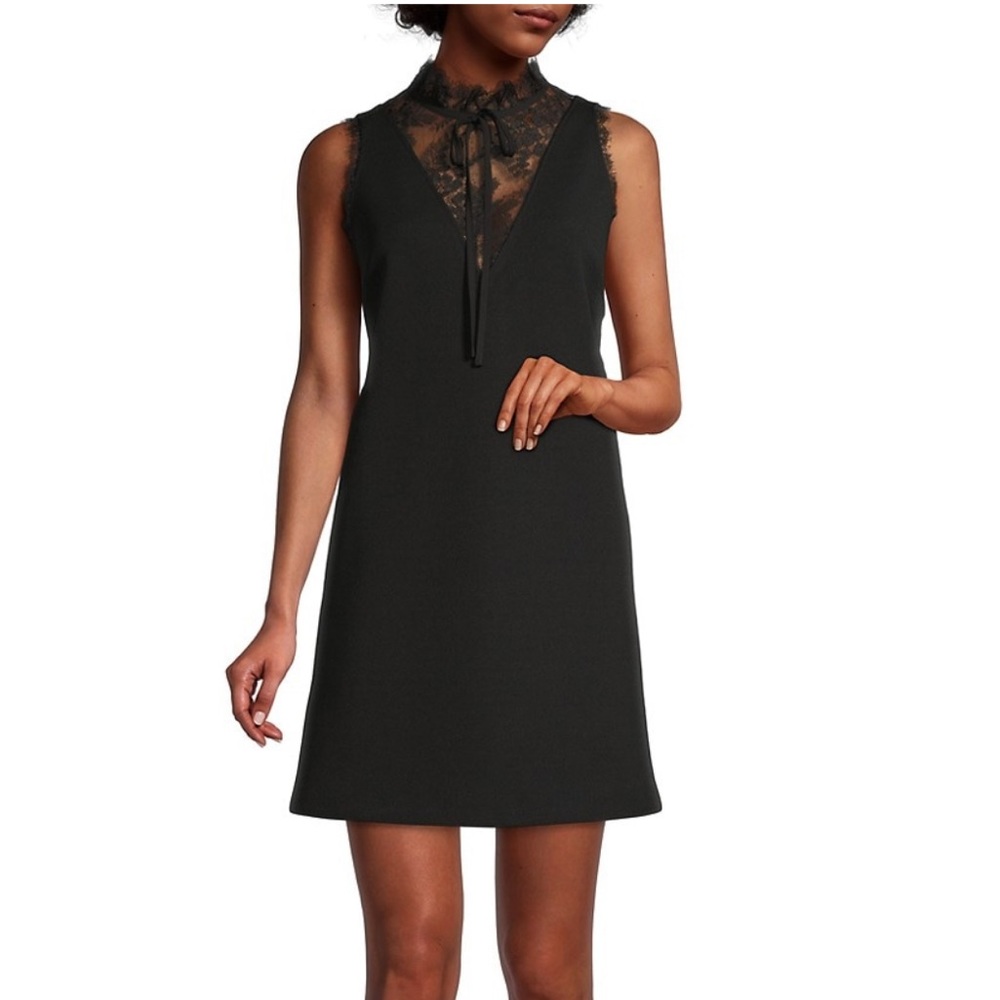 Ted Baker Chharis Lace Neck Minidress